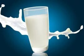 Những điều bạn chưa biết về sữa