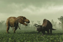 Tỉ phú người Australia xây dựng công viên khủng long khổng lồ