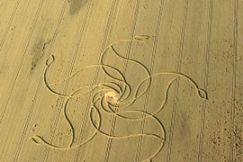 Lại xuất hiện vòng tròn huyền bí của người ngoài hành tinh?