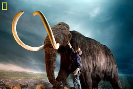 6 loài động vật tuyệt chủng có thể được tái sinh