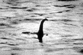 Thế giới của những sinh vật bí ẩn nhất trái đất