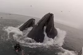 Giây phút đối mặt với tử thần nặng 40 tấn.