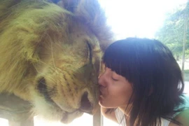 Công viên nơi du khách có thể hôn sư tử