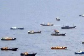 Nhật Bản xử lý tàu Trung Quốc khai thác trộm san hô