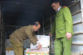 Thu giữ 4 tạ gan, lòng bò chuẩn bị vận chuyển sang Lào