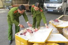 Thu giữ trên 300kg gan bò "mập mờ" đang chuẩn bị “xuất khẩu”