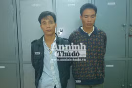 Lại một gốc sưa quý bị đốn trong đêm