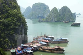 Quảng Ninh tổ chức Hoa hậu Du lịch quốc tế 2015 