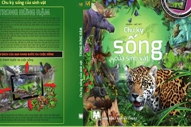 Bộ sách 3D đầu tiên tại Việt Nam