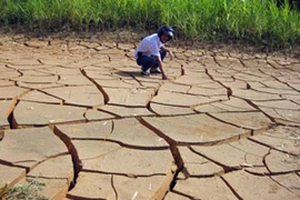 Chớ đổ tội cho khí hậu