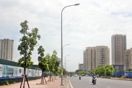 Hà Nội có thêm phố Mạc Thái Tổ, Trịnh Công Sơn