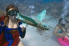 Hòa nhạc dưới nước