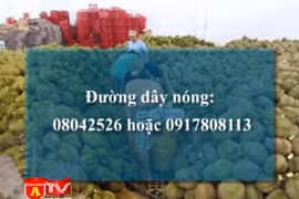 Công bố đường dây nóng tố giác vi phạm vệ sinh an toàn thực phẩm