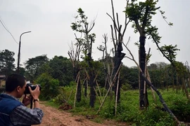 Nào ta cùng đọc báo