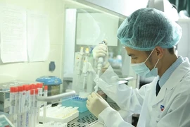 60% người nhiễm virus viêm gan B cấp tính không có triệu chứng