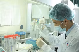 60% người nhiễm virus viêm gan B cấp tính không có triệu chứng