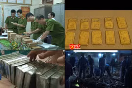 Gia tăng tội phạm ma túy và môi trường