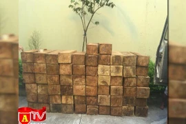 Đội lốt xe khách để chở gỗ lậu