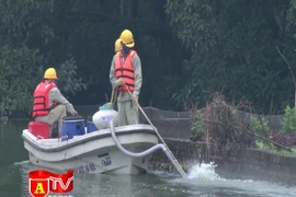 Áp dụng công nghệ mới, ao, hồ làng quê đẹp trở lại như xưa