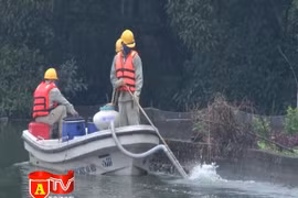 Áp dụng công nghệ mới, ao, hồ làng quê đẹp trở lại như xưa