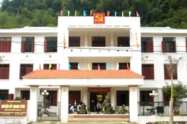 Trưởng phòng giáo dục khai man để nhận danh hiệu Nhà giáo ưu tú