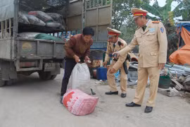 CSGT phát hiện hơn 2 tấn mỡ "bẩn" tuồn về Thủ đô