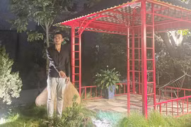 Rủ nhau trộm cây quán cà phê mang về nhà trồng