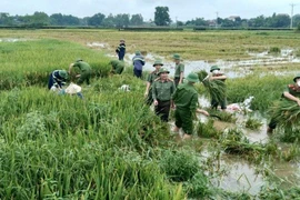 55 năm thực hiện tốt vai trò vận động nhân dân bảo vệ an ninh Tổ quốc 