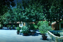 Mang lại niềm tin, sự an tâm cho tăng ni phật tử và nhân dân