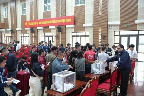 Nhiều xã ngoại thành tấp nập đấu giá đất cuối năm