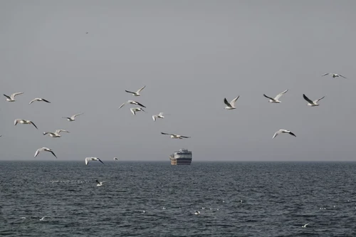 Đảm bảo an toàn cho 160 thuyền viên Việt Nam đang hoạt động ở khu vực Trung Đông 