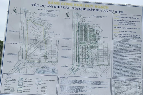 Giao hơn 7.400m2 đất cho Công ty Fortune xây nhà ở thấp tầng ở Thanh Trì