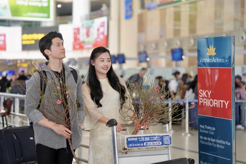 Hàng không vận chuyển đào, mai dịp Tết Bính Ngọ