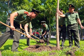 Hà Nội sẽ trồng thêm hơn 80.000 cây xanh đầu xuân Bính Ngọ 2026