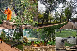 Xoá bỏ "vách ngăn" thép, Công viên Bách Thảo đưa thiên nhiên sát gần người dân Thủ đô