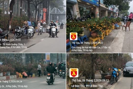 Chợ hoa Tết và bức tranh về trật tự đô thị