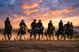 Mãn nhãn những màn "tung vó" điêu luyện của Cảnh sát cơ động Kỵ binh chào năm mới Bính Ngọ 2026