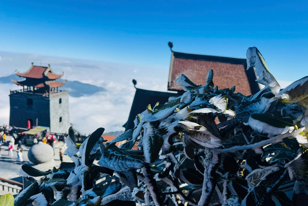 Sáng nay, đỉnh Fansipan băng giá phủ trắng xoá