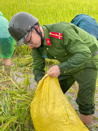 Chiến sỹ Công an Hà Nội ngâm nước giúp người dân cứu lúa