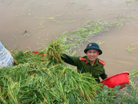 Chiến sỹ Công an Hà Nội ngâm nước giúp người dân cứu lúa