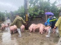 Hình ảnh Công an huyện Ứng Hoà khẩn trương hỗ trợ nhân dân di dời tài sản 