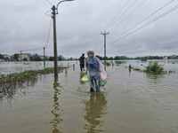 Những hình ảnh ngoại thành Hà Nội ngập trắng trong nước lũ