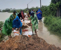 Ngoại thành Hà Nội khẩn trương đắp đê chống lũ tràn