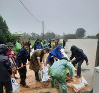 Ngoại thành Hà Nội khẩn trương đắp đê chống lũ tràn