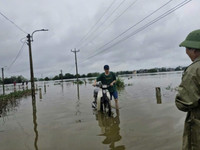 Những hình ảnh ngoại thành Hà Nội ngập trắng trong nước lũ