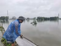 Những hình ảnh ngoại thành Hà Nội ngập trắng trong nước lũ