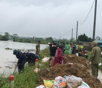 Ngoại thành Hà Nội khẩn trương đắp đê chống lũ tràn