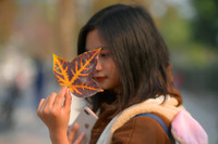 Check in con đường đẹp như phim Hàn ở Hà Nội 