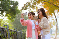 Check in con đường đẹp như phim Hàn ở Hà Nội 