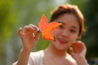 Check in con đường đẹp như phim Hàn ở Hà Nội 